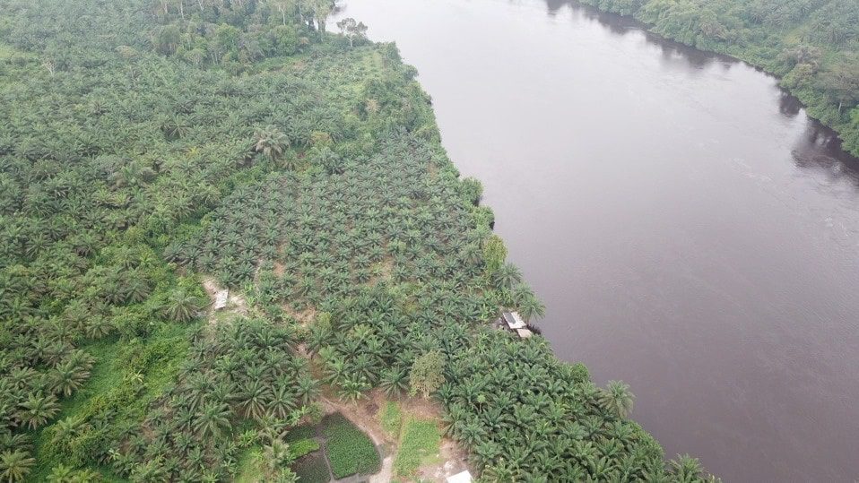 128174248_1921457294659208_6165257413578214436_n